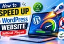 How to Speed Up a WordPress Website Without Plugins